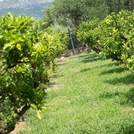 Lodge Jomi Kaštel Novi Екстериор снимка